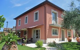 B&B Il Canto Del Gallo