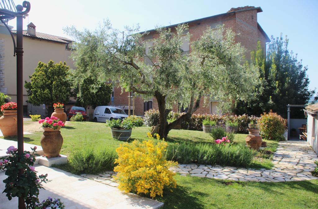 B&B Il Canto Del Gallo Casole d'Elsa Exterior photo
